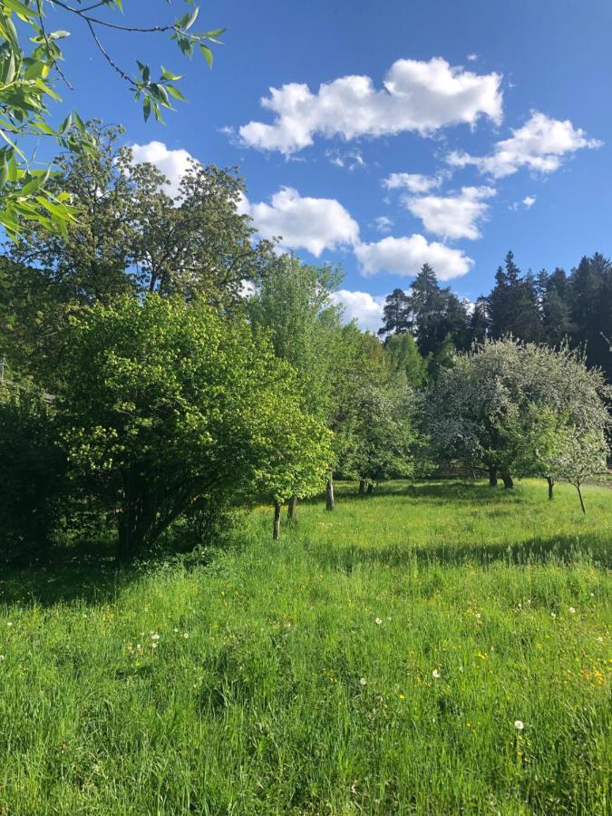 Apartment Am Ponyhof Sankt Kanzian am Klopeiner See Εξωτερικό φωτογραφία